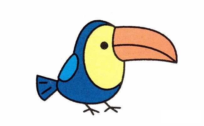 巨嘴鸟动物简笔画步骤图片大全