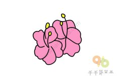 美丽的木槿花简笔画