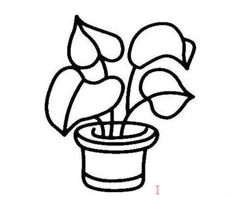 手绘绿萝盆栽的画法简笔画图片简单好看