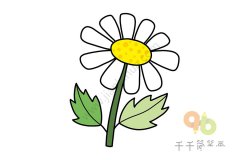 美丽的白菊花简笔画步骤