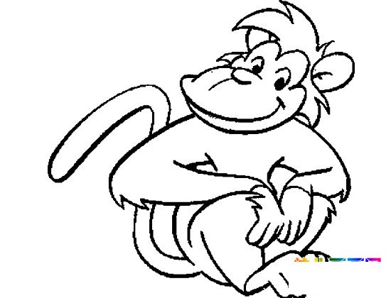 动物简笔画:调皮的小猴子3