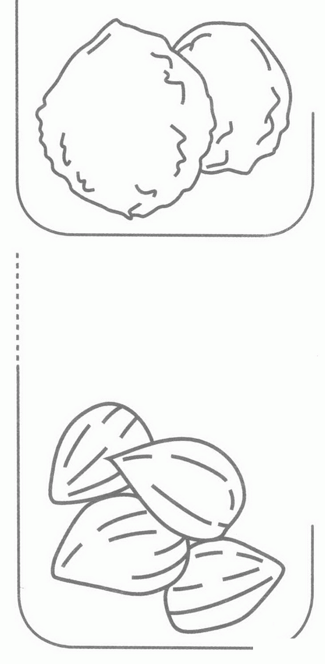 坚果简笔画