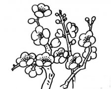 冬天里的花儿简笔画画法_怎么画冬天里的花儿