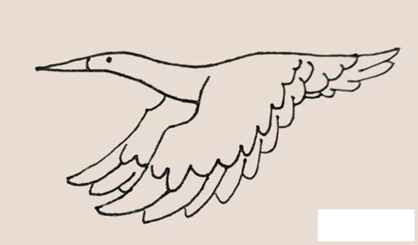 鹤简笔画的画法步骤图