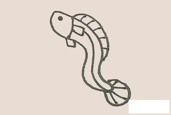 鳗鱼简笔画的画法步骤图