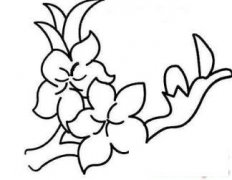 美丽的桃花简笔画画法_怎么画美丽的桃花