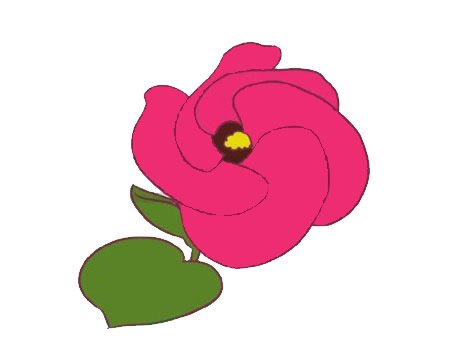 木槿花简笔画图片大全作品二