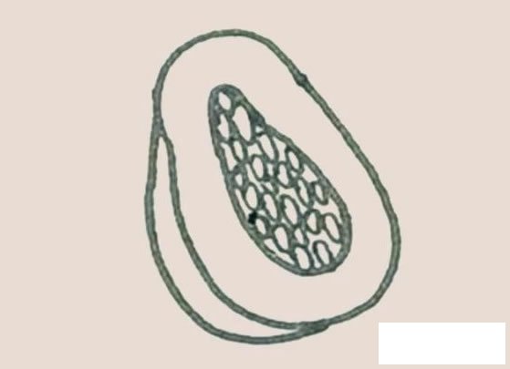 木瓜简笔画图片