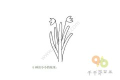 美丽的水仙花简笔画步骤图大全