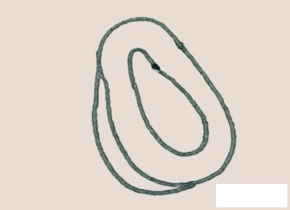 木瓜简笔画图片