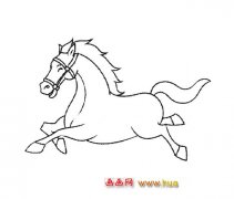 一匹千里马（动物简笔画）
