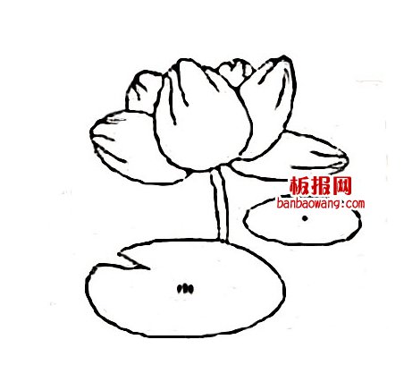 荷叶荷花简笔画