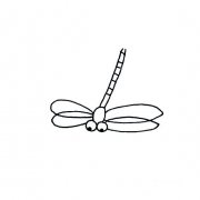 简笔画蜻蜓如何画昆虫类