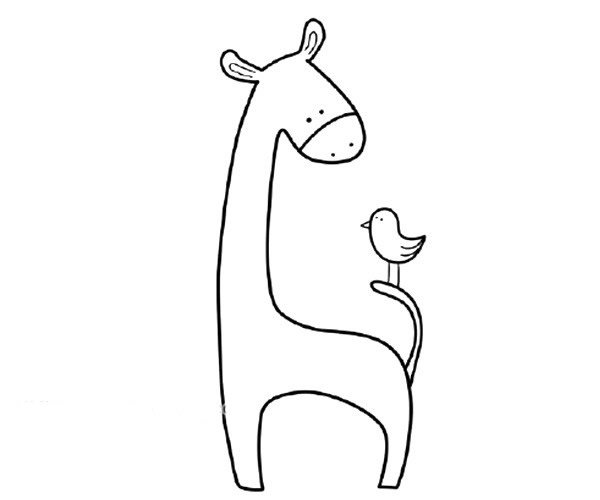 长颈鹿和小鸟简笔画步骤