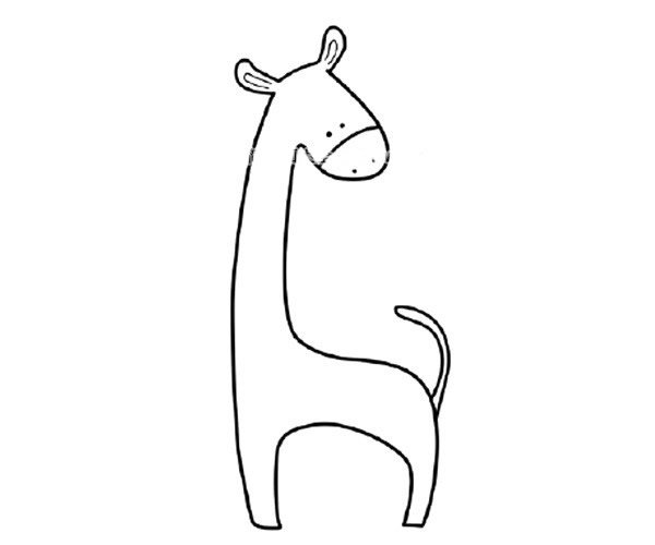 长颈鹿和小鸟简笔画步骤