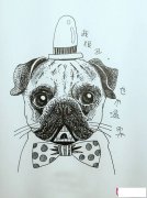 丑萌巴哥犬简笔画图片