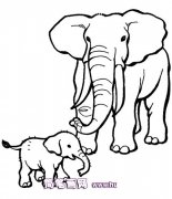 大象和小象简笔画