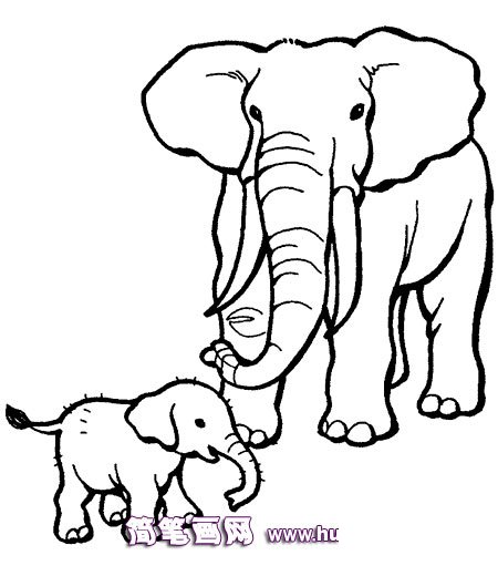 大象和小象简笔画