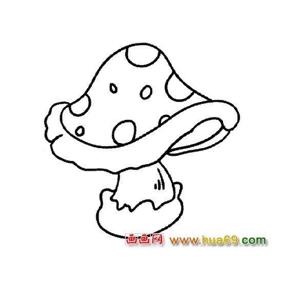 植物简笔画:松口蘑
