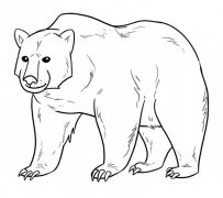 大狗熊简笔画图片大全