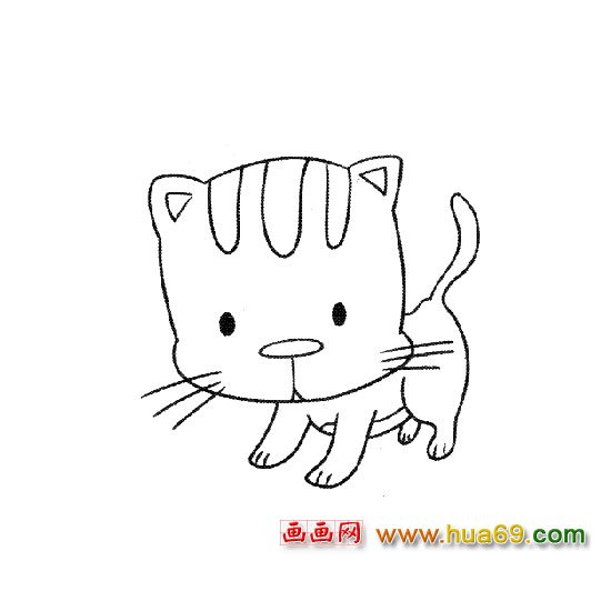 简笔画│乖巧的小猫2