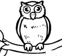 树上的猫头鹰简笔画图片大全