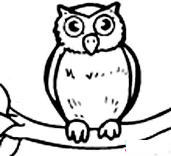 树上的猫头鹰简笔画图片大全
