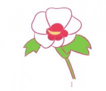 木槿花的画法步骤图带颜色 木槿花简笔画图片