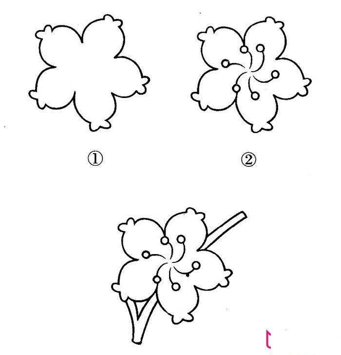 儿童简笔画花，花中君子梅花