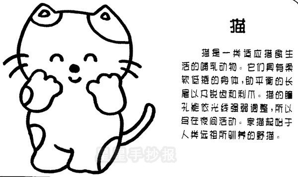 猫和简笔画