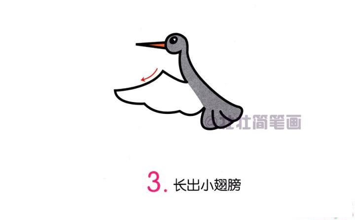 灰鹤简笔画画法_怎么画灰鹤的简笔画