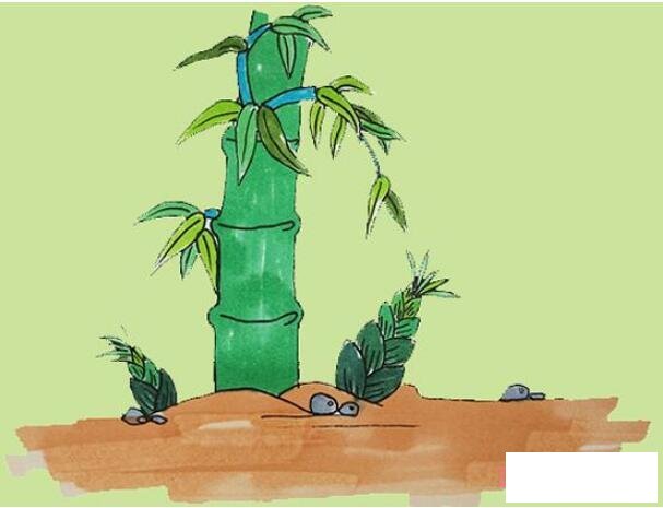 教你一步一步画彩色竹子简笔画手绘简单漂亮