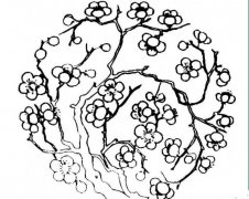 梅花朵朵开简笔画画法_怎么画梅花朵朵开