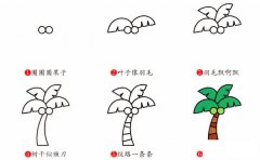 椰子树简笔画步骤图片大全