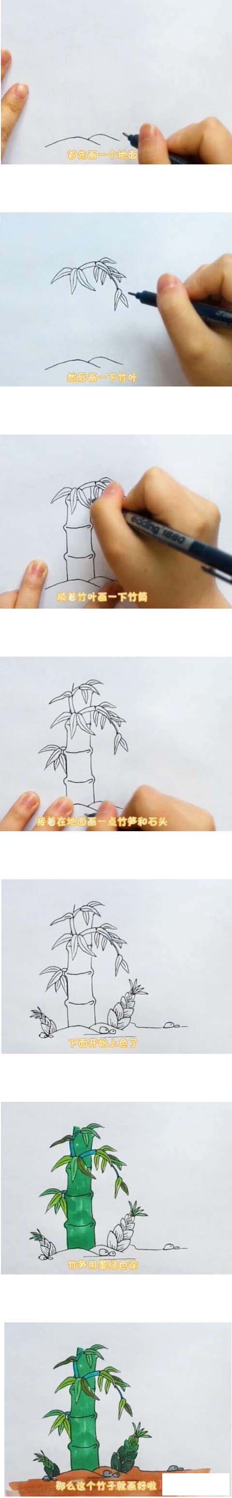 教你一步一步画彩色竹子简笔画手绘简单漂亮