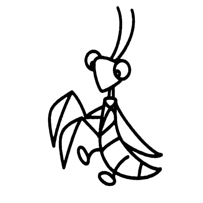 螳螂昆虫简笔画步骤图片大全