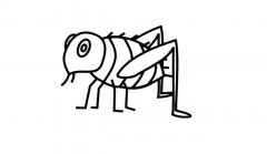 跳蚤简笔画图片