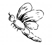 手绘大蜻蜓简笔画图片