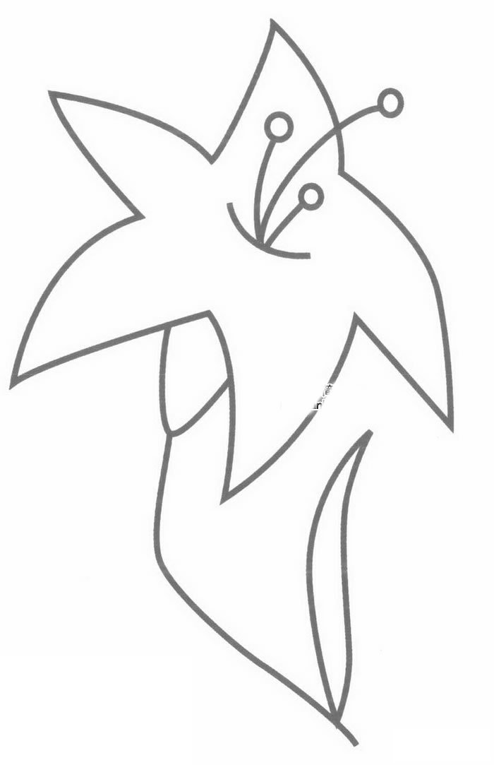 百合花简笔画
