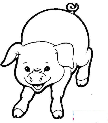 关于猪的简笔画