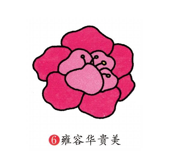 牡丹花简笔画彩色图片