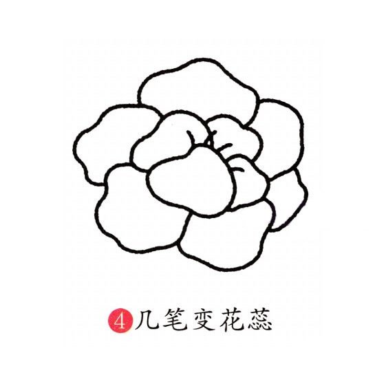 牡丹花简笔画图片