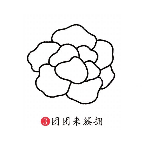 牡丹花简笔画图片