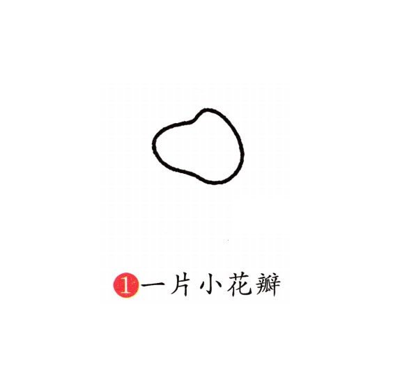 牡丹花简笔画图片