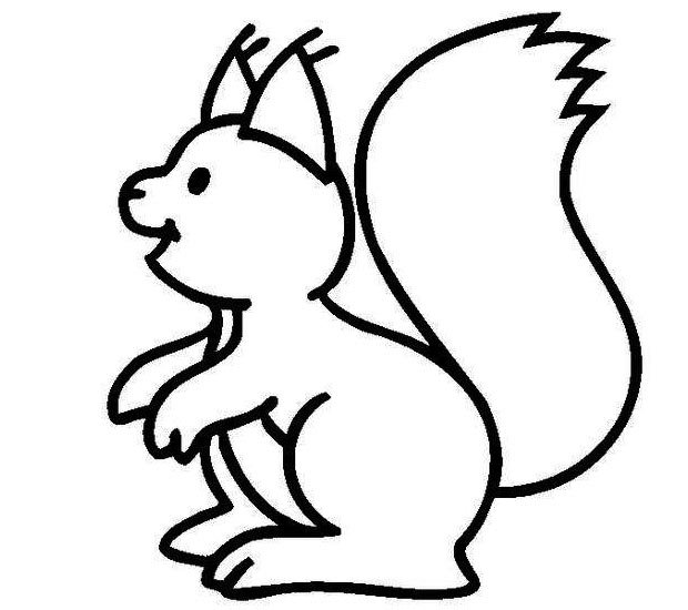 幼儿简笔画：一只可爱的的小松鼠