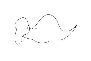 古角龙简笔画图片步骤二