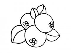 蓝莓水果简笔画图片