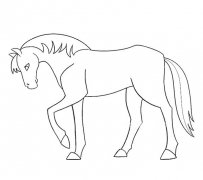 骏马简笔画图片