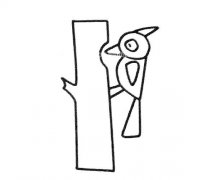 6款啄木鸟简笔画图片大全