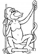 秋千上的猴子动物简笔画步骤图片大全